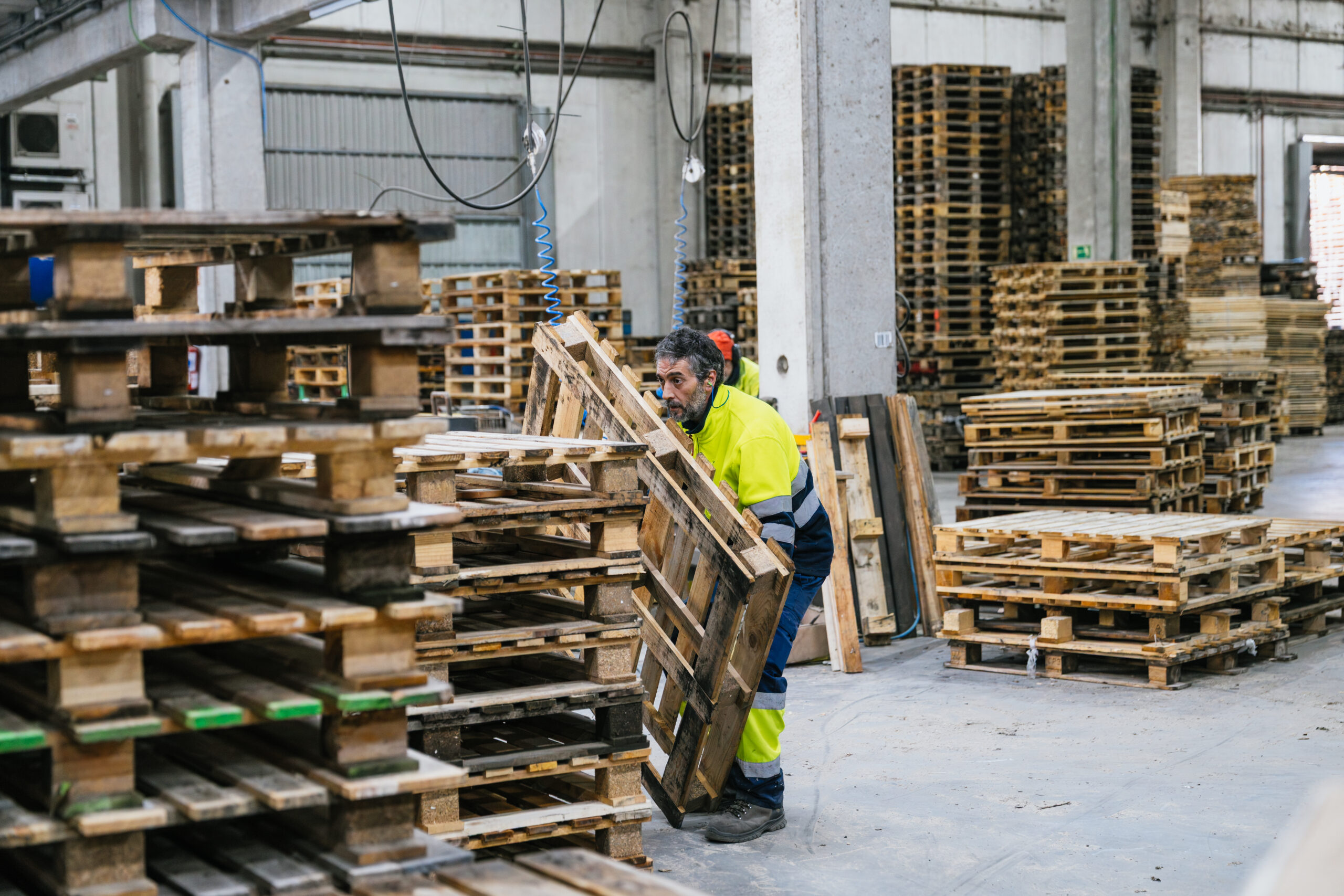 Pallets de madeira e fiscalização MAPA: quando o carimbo IPPC é obrigatório